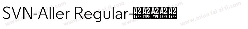 SVN-Aller Regular字体转换
